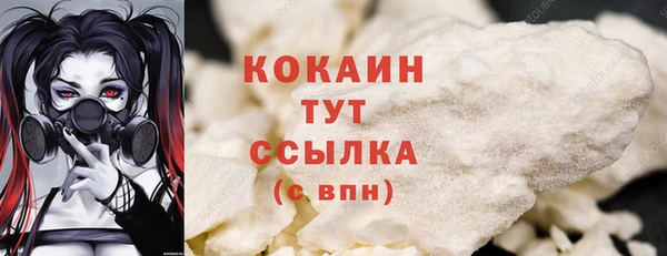 прущие грибы Абаза