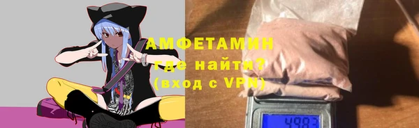 прущие грибы Абаза