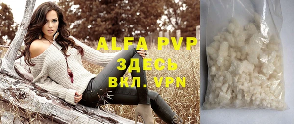 прущие грибы Абаза