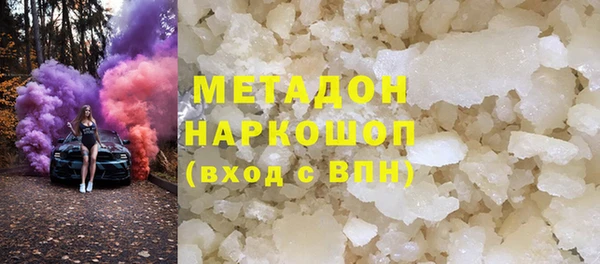 прущие грибы Абаза