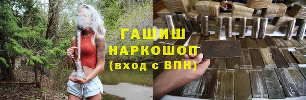 прущие грибы Абаза