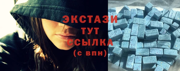 прущие грибы Абаза