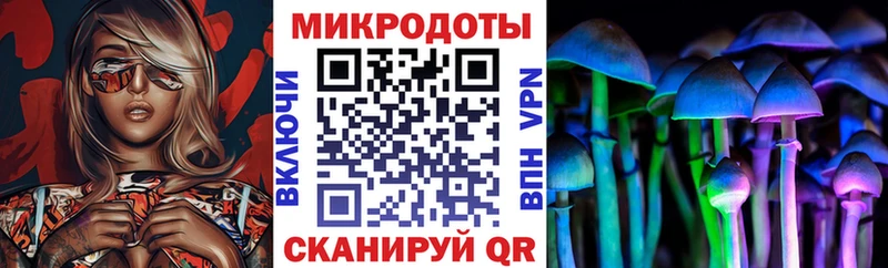 Псилоцибиновые грибы ЛСД  ОМГ ОМГ ONION  Чкаловск  купить закладку 